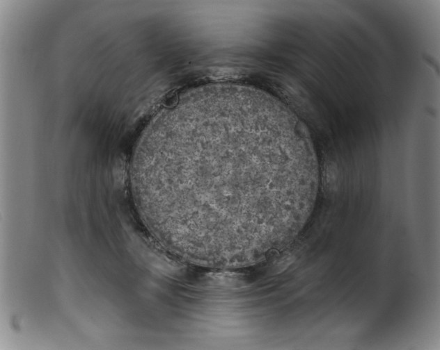 X0000099320367200805161406