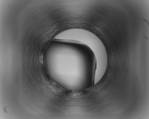 X0000099320368200805161406