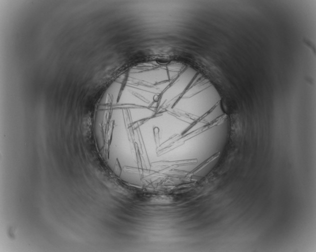 X0000099320369200805161406