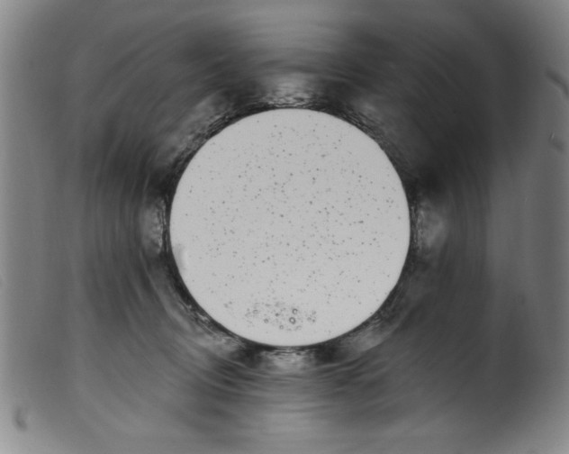 X0000099320370200805161406