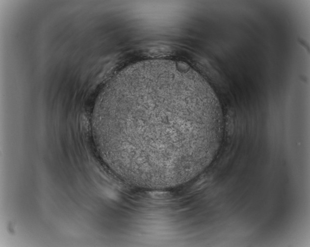 X0000099320371200805161406