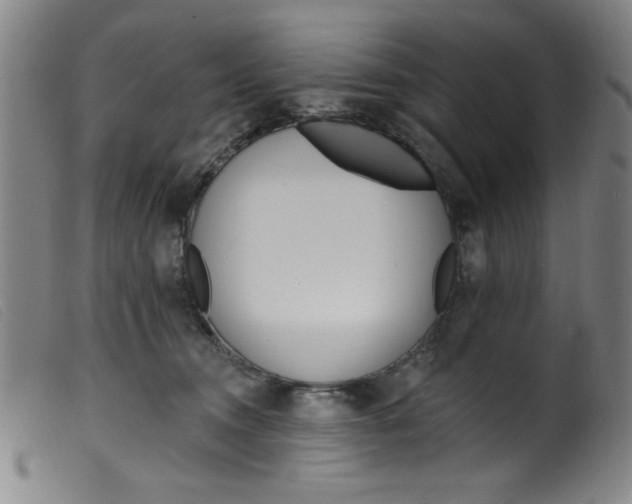 X0000099320372200805161406