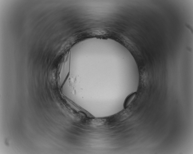 X0000099320373200805161406