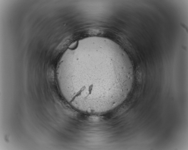 X0000099320375200805161406