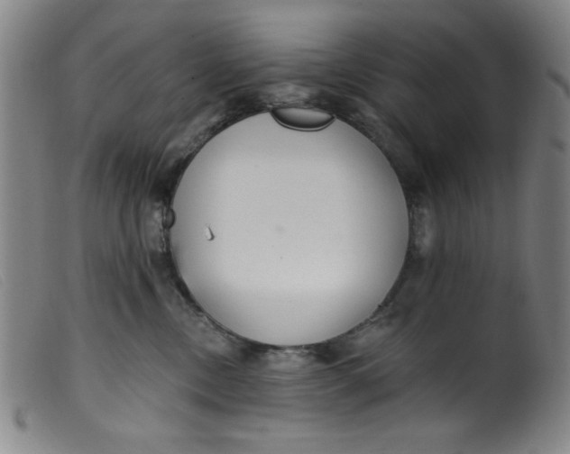 X0000099320378200805161406