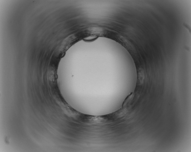 X0000099320379200805161406