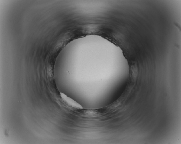 X0000099320380200805161406