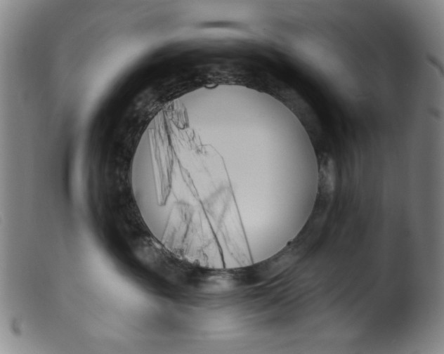 X0000099320381200805161406