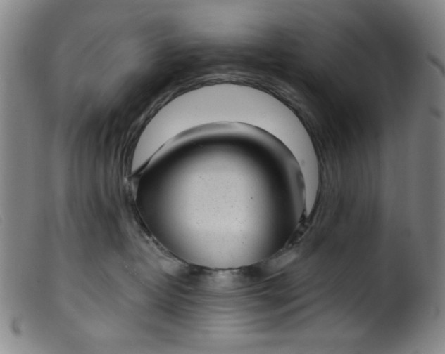 X0000099320382200805161406