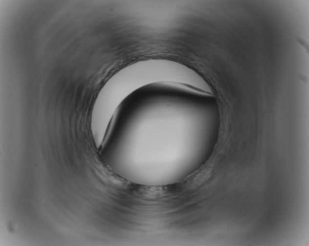 X0000099320384200805161406