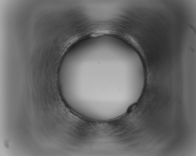 X0000099320385200805161406