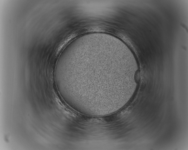 X0000099320386200805161406