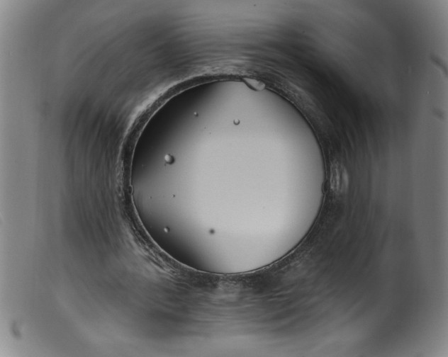 X0000099320388200805161406