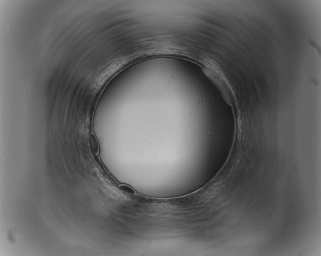 X0000099320389200805161406