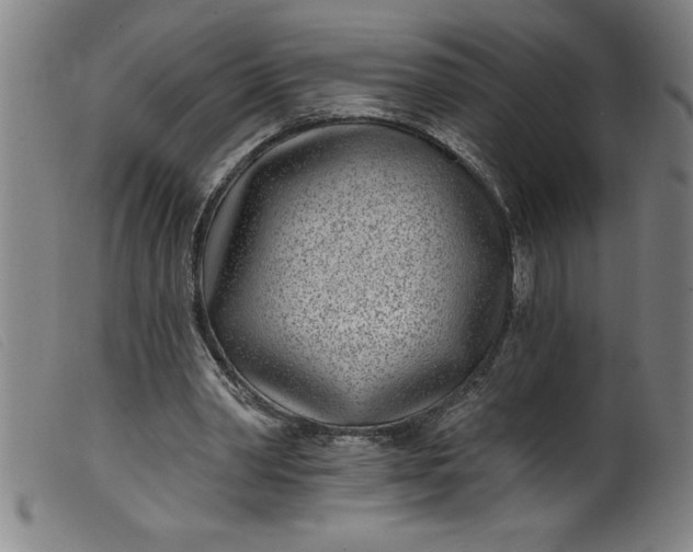 X0000099320390200805161406