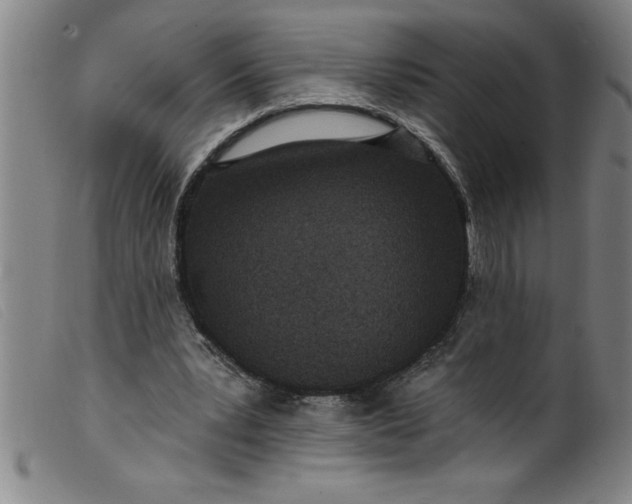 X0000099320391200805161406