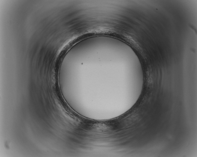 X0000099320392200805161406