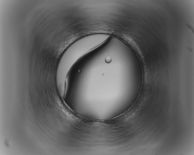 X0000099320393200805161405