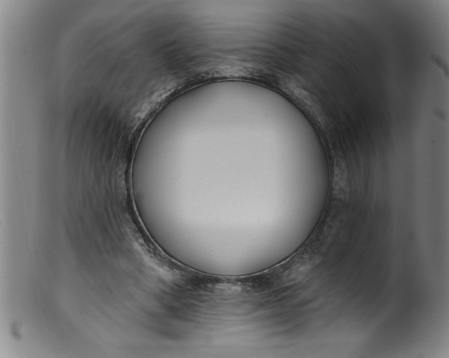 X0000099320394200805161405