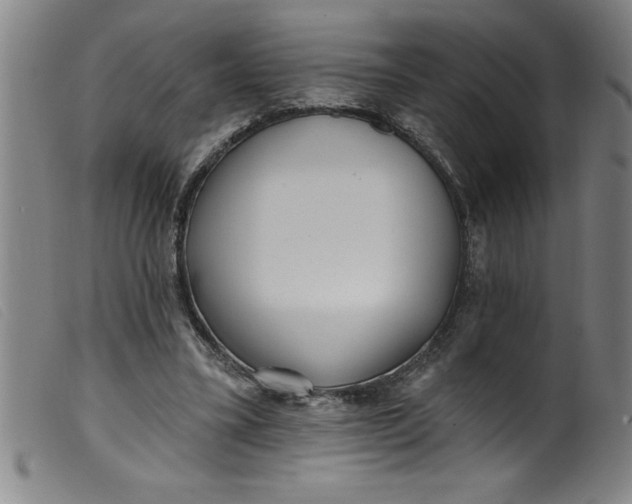 X0000099320395200805161405