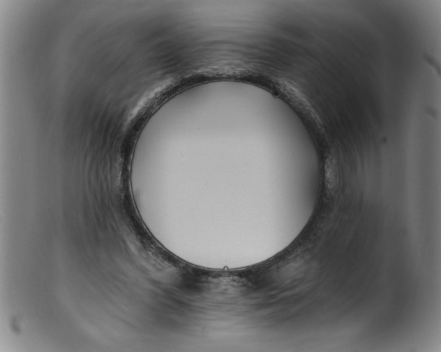 X0000099320396200805161405