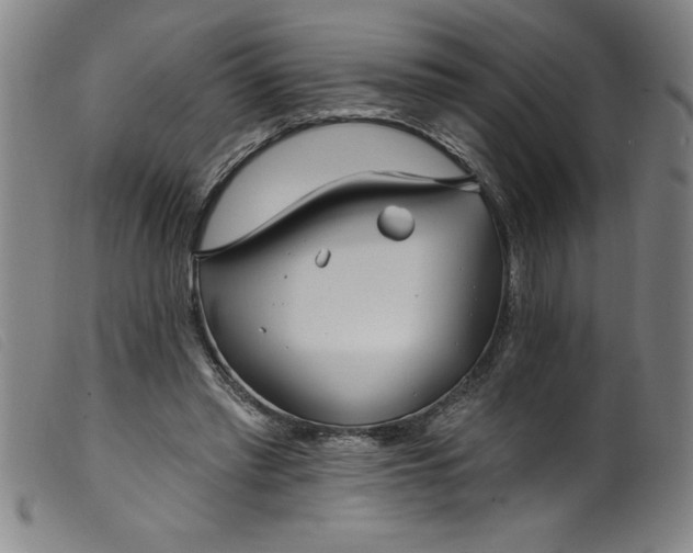 X0000099320397200805161405