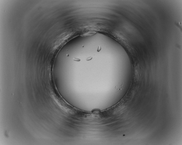 X0000099320398200805161405