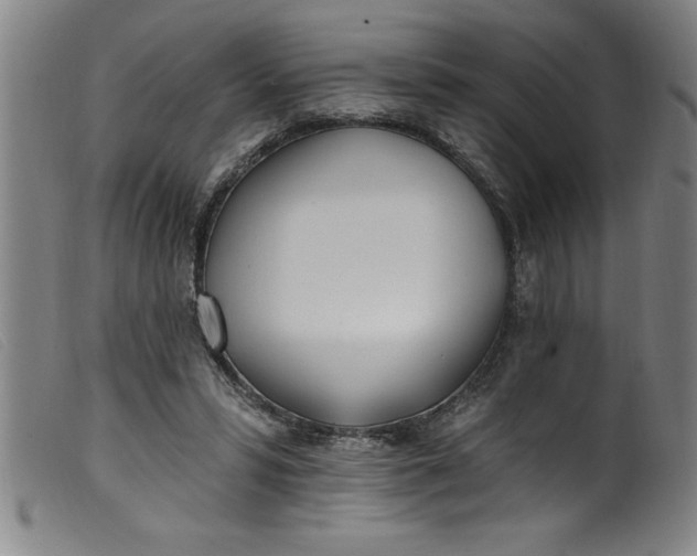 X0000099320399200805161405