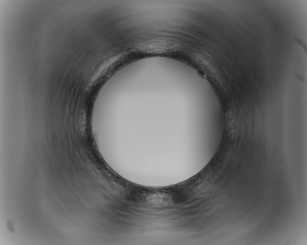 X0000099320400200805161405