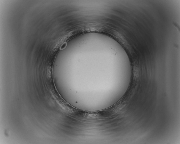 X0000099320401200805161405