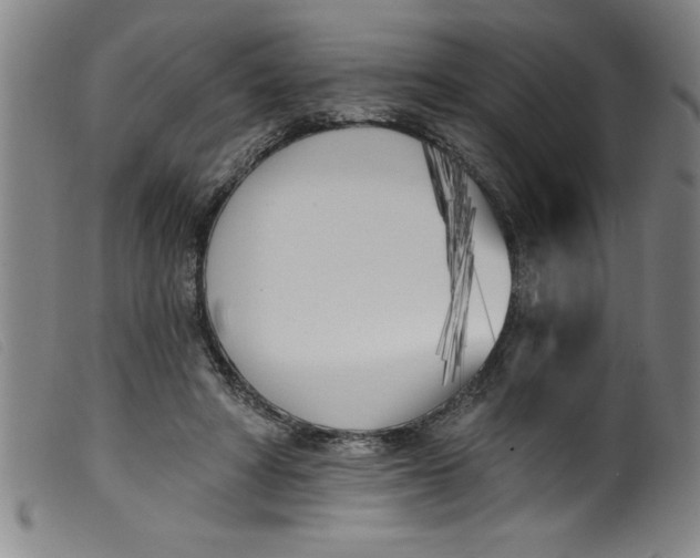 X0000099320402200805161405