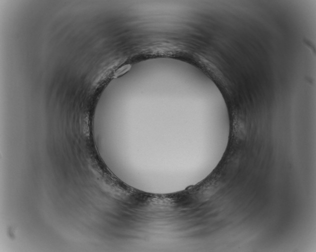 X0000099320403200805161405