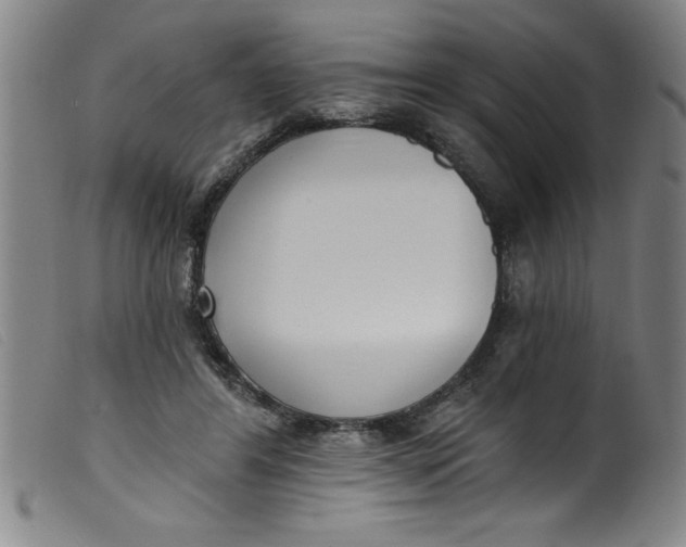 X0000099320404200805161405