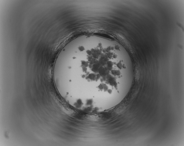 X0000099320405200805161405