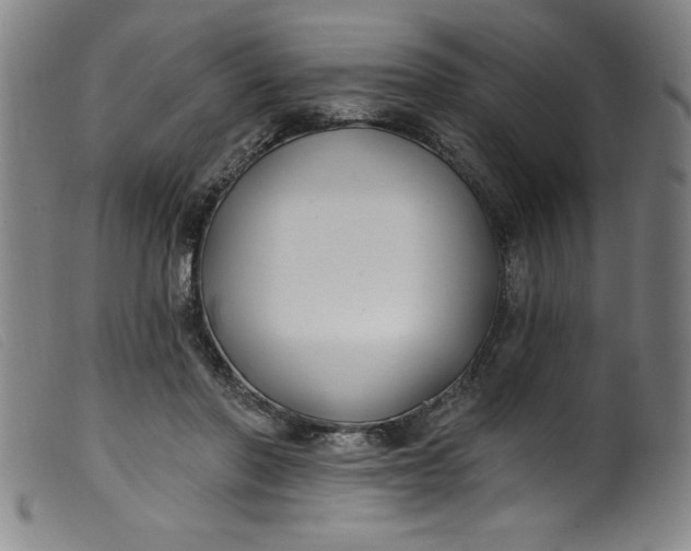 X0000099320406200805161405