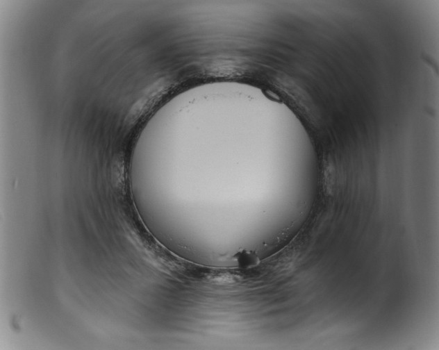 X0000099320407200805161405