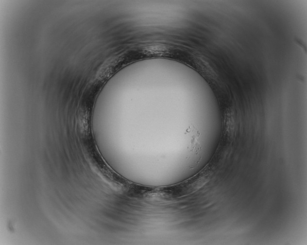 X0000099320408200805161405