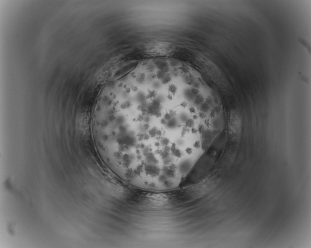 X0000099320409200805161405