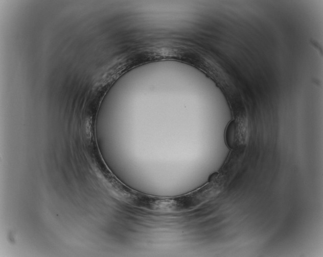 X0000099320410200805161405