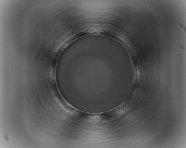 X0000099320411200805161405