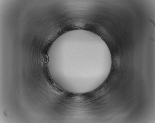 X0000099320412200805161405