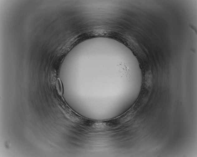 X0000099320413200805161405