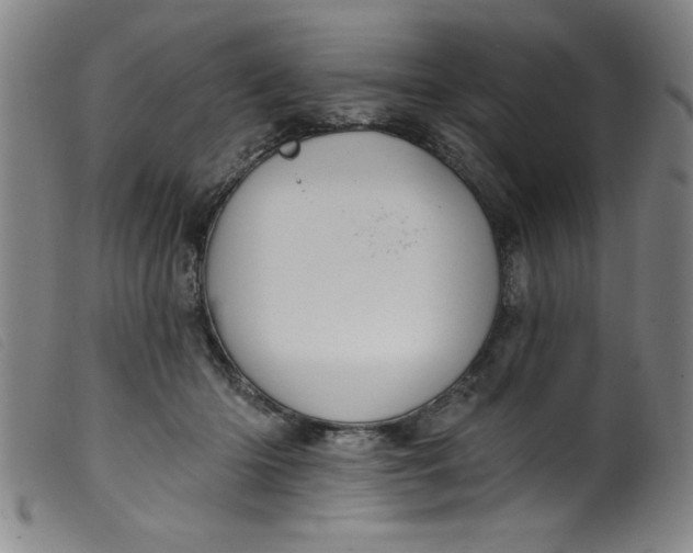 X0000099320414200805161405