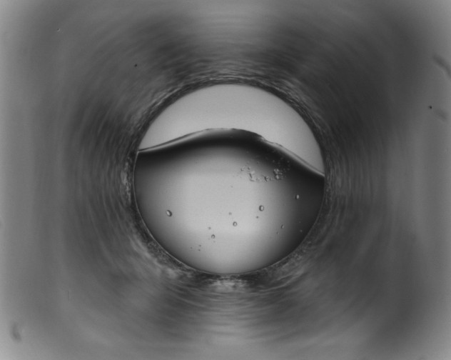 X0000099320415200805161405