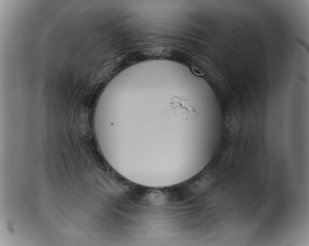 X0000099320416200805161405