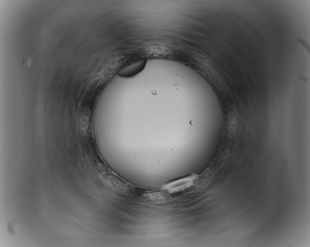 X0000099320417200805161405