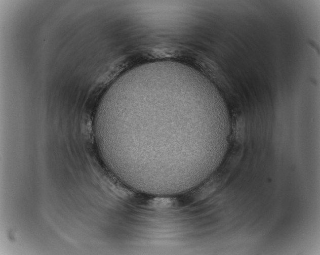 X0000099320418200805161405