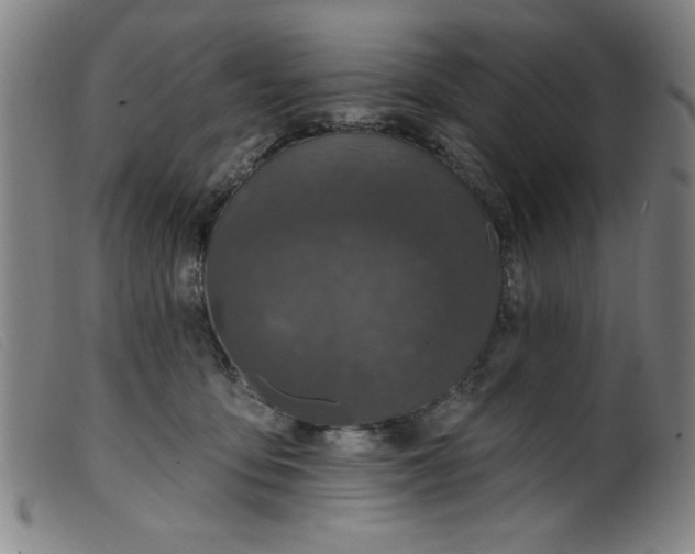 X0000099320419200805161405