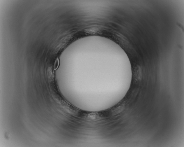 X0000099320420200805161405