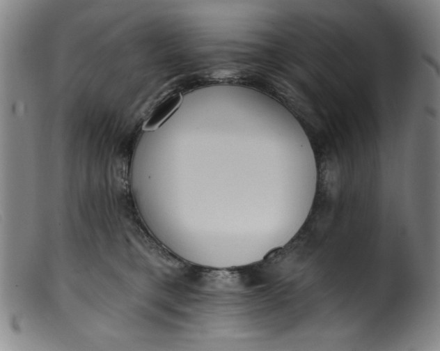 X0000099320421200805161405